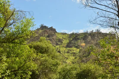 DSC_6379 (Large).JPG